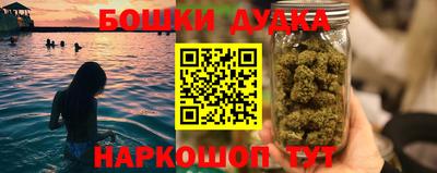 индика Моздок