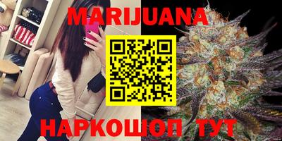 индика Моздок