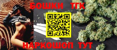 индика Моздок