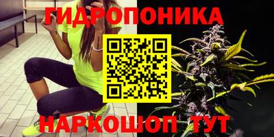 не бодяженный Можга