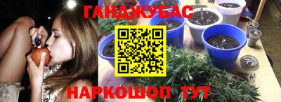 индика Моздок