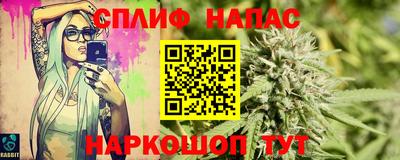 индика Моздок