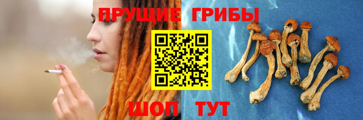Псилоцибиновые грибы Magic Shrooms Якутск