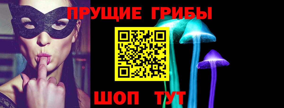 Галлюциногенные грибы Cubensis  Псилоцибиновые грибы мицелий  Вход с VPN  Якутск 